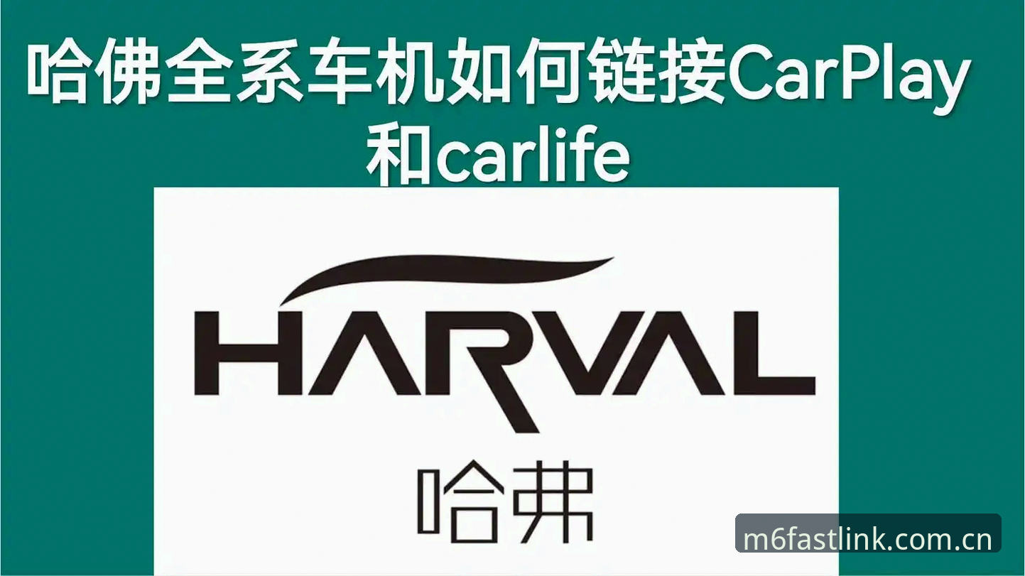 M6体育平台最新动态：M6体育入口地址安装教程全解析，新手也能快速上手